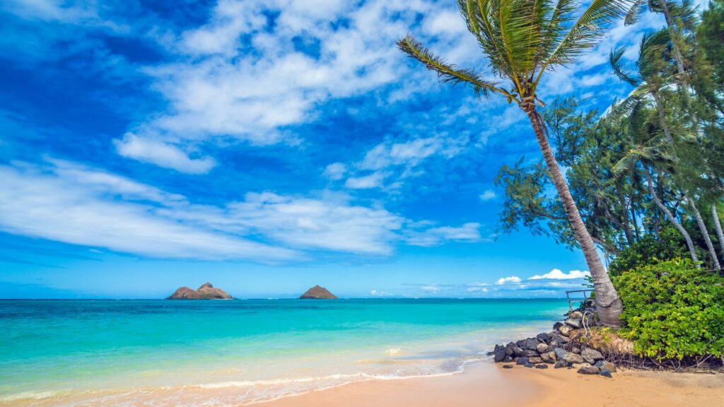 Affordable Family Resorts in Hawaii